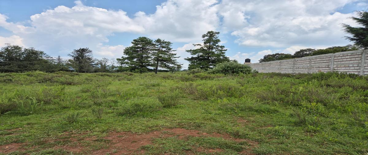 Foto de terreno habitacional en venta en sin dato , sta. martha de la cruz, jilotepec, méxico, 30399893 No. 05