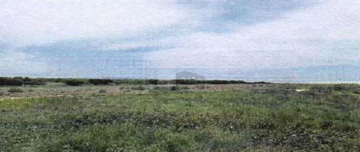 Foto de terreno comercial en sin nombre 1, los olivos (los tildios), san josé iturbide, guanajuato, 0 foto 03 Foto de terreno comercial en venta en sin nombre 1, los olivos (los tildios), san josé iturbide, guanajuato, 0 No. 03