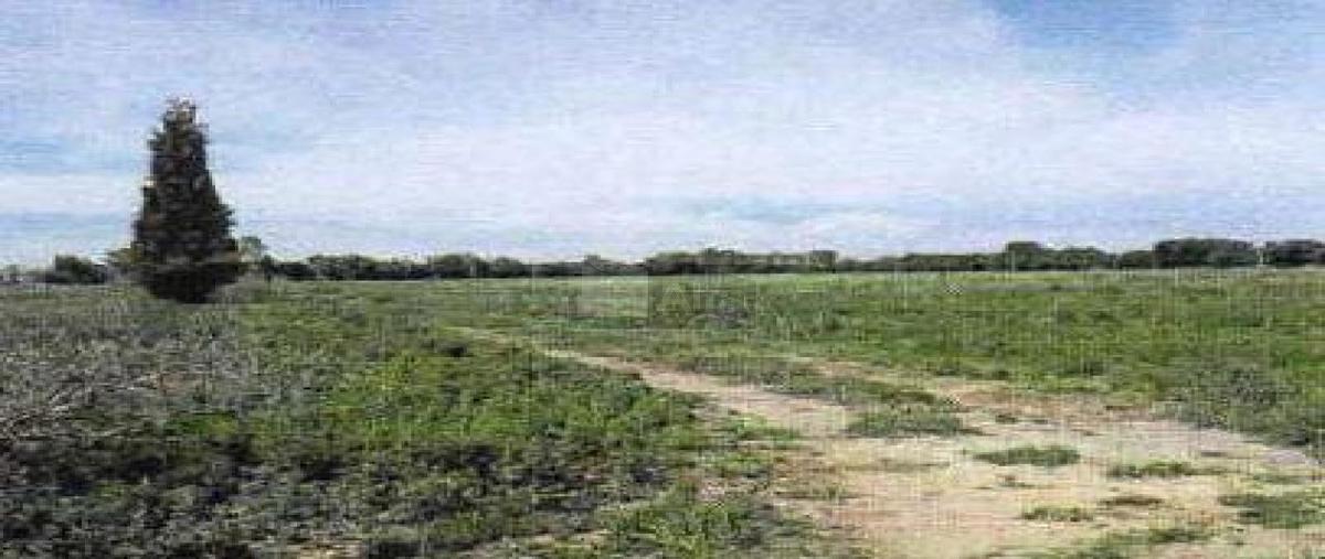 Foto de terreno comercial en sin nombre 1, los olivos (los tildios), san josé iturbide, guanajuato, 0 foto 04 Foto de terreno comercial en venta en sin nombre 1, los olivos (los tildios), san josé iturbide, guanajuato, 0 No. 04
