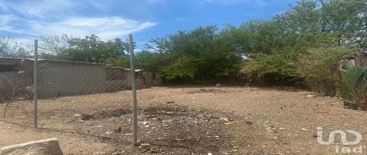 Foto de terreno habitacional en venta en sin nombre 102, el centenario, la paz, baja california sur, 31700131 No. 03