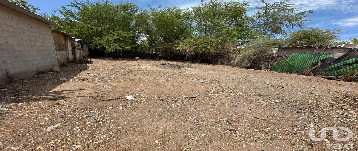 Foto de terreno habitacional en venta en sin nombre 102, el centenario, la paz, baja california sur, 31700131 No. 04