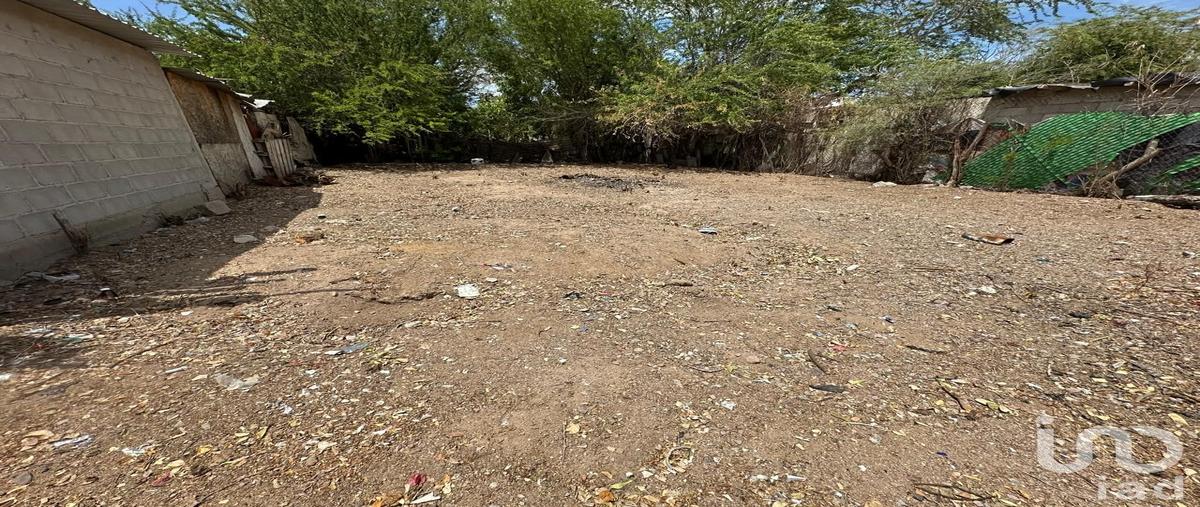 Foto de terreno habitacional en venta en sin nombre 102, el centenario, la paz, baja california sur, 31700131 No. 05