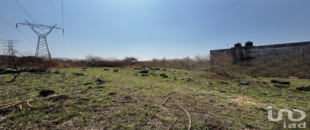 Foto de terreno habitacional en venta en sin nombre 273, palo escrito (colonia benito juárez), emiliano zapata, morelos, 30959100 No. 05