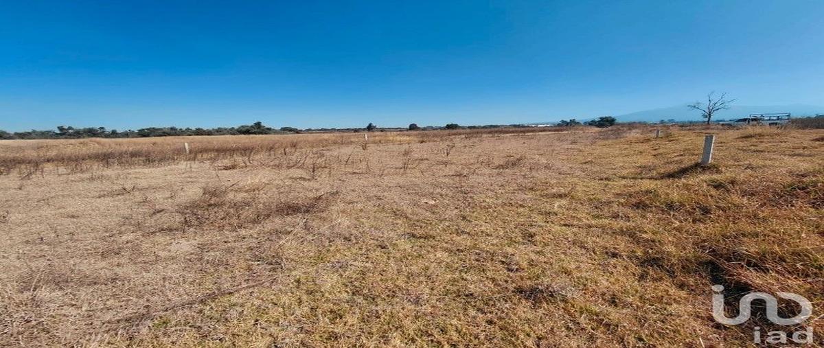 Foto de terreno habitacional en venta en sin nombre , acopilco, san pablo del monte, tlaxcala, 31112776 No. 03