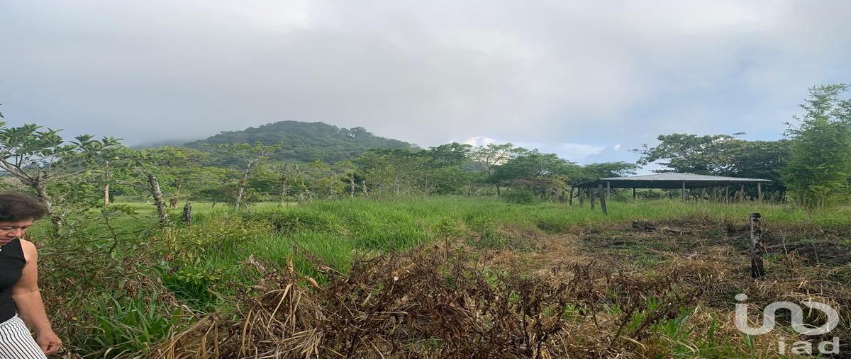 Foto de terreno habitacional en venta en sin nombre , adolfo ruiz cortines, san andrés tuxtla, veracruz de ignacio de la llave, 0 No. 04