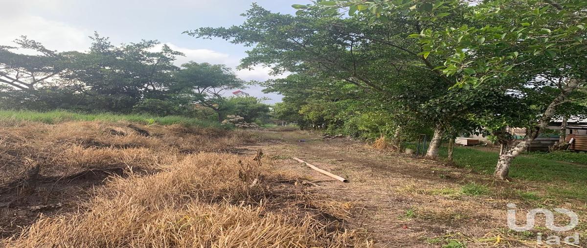 Foto de terreno habitacional en venta en sin nombre , adolfo ruiz cortines, san andrés tuxtla, veracruz de ignacio de la llave, 0 No. 05