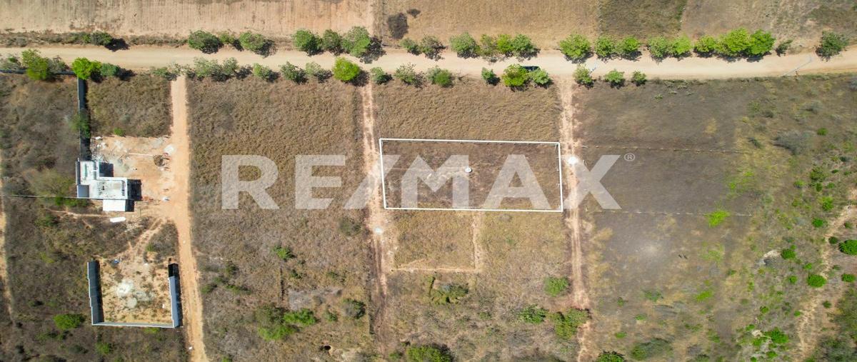 Foto de terreno habitacional en venta en sin nombre , agua blanca, santa maría tonameca, oaxaca, 0 No. 04
