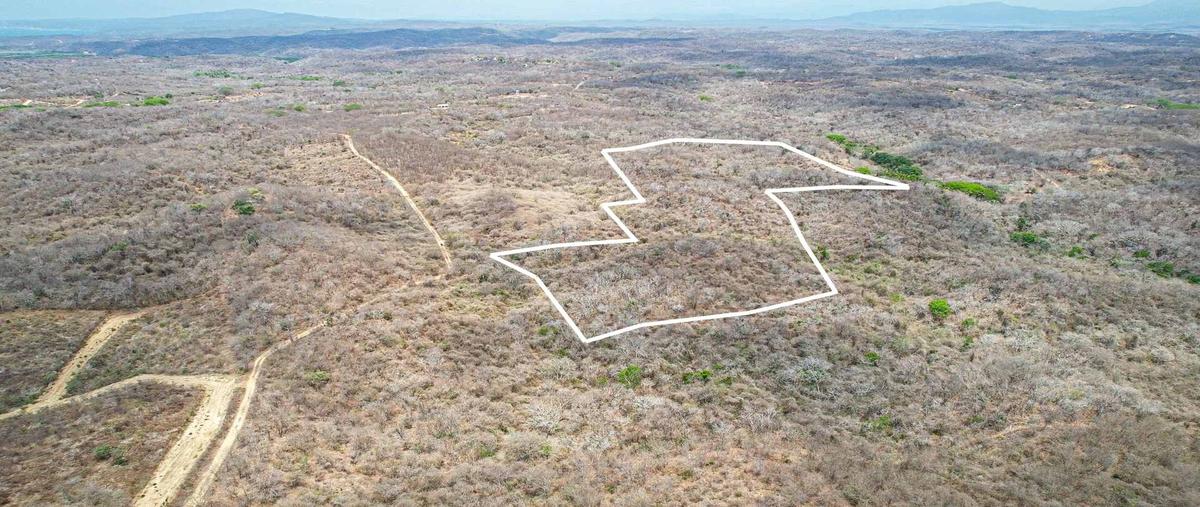Foto de terreno habitacional en venta en sin nombre , barra de cuatunalco, san pedro pochutla, oaxaca, 30017527 No. 03