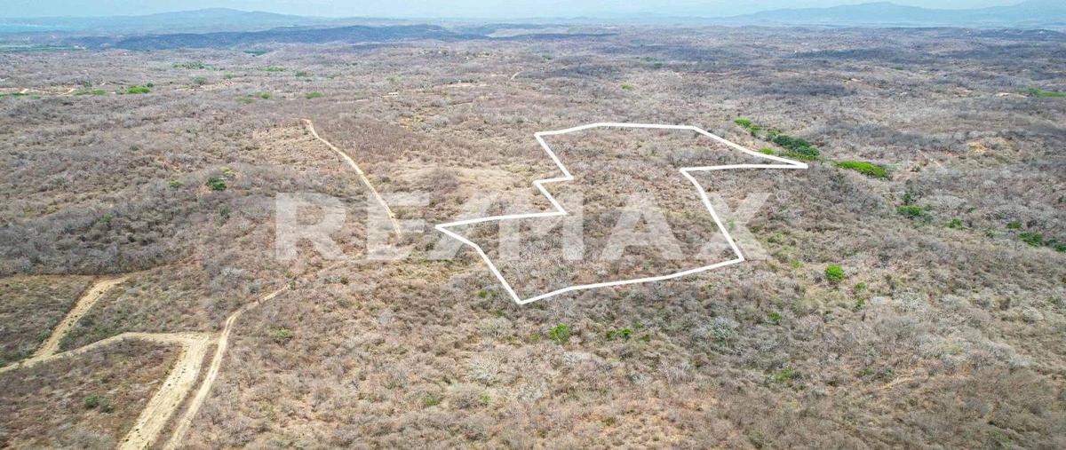 Foto de terreno habitacional en venta en sin nombre , barra de cuatunalco, san pedro pochutla, oaxaca, 0 No. 03