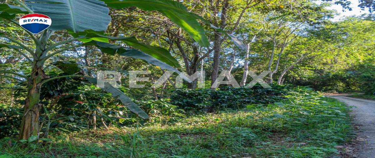 Foto de terreno comercial en venta en sin nombre , camila, san miguel del puerto, oaxaca, 0 No. 04