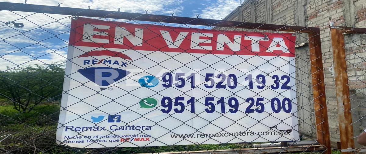 Foto de terreno habitacional en venta en sin nombre , centro de la primera sección, san pablo huitzo, oaxaca, 0 No. 03