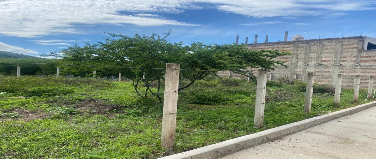Foto de terreno comercial en venta en sin nombre , centro de la primera sección, san pablo huitzo, oaxaca, 28362885 No. 05