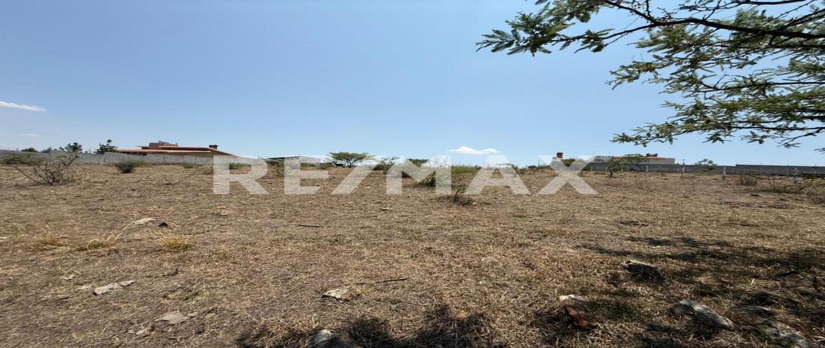 Foto de terreno comercial en venta en sin nombre , cerritos, morelia, michoacán de ocampo, 0 No. 04