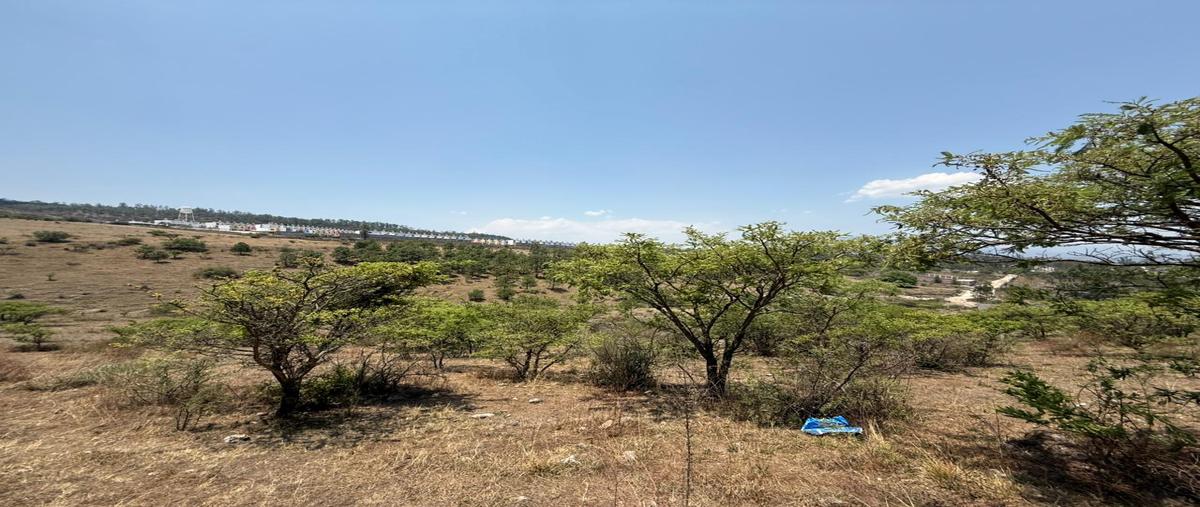 Foto de terreno comercial en venta en sin nombre , cerritos, morelia, michoacán de ocampo, 31324435 No. 06