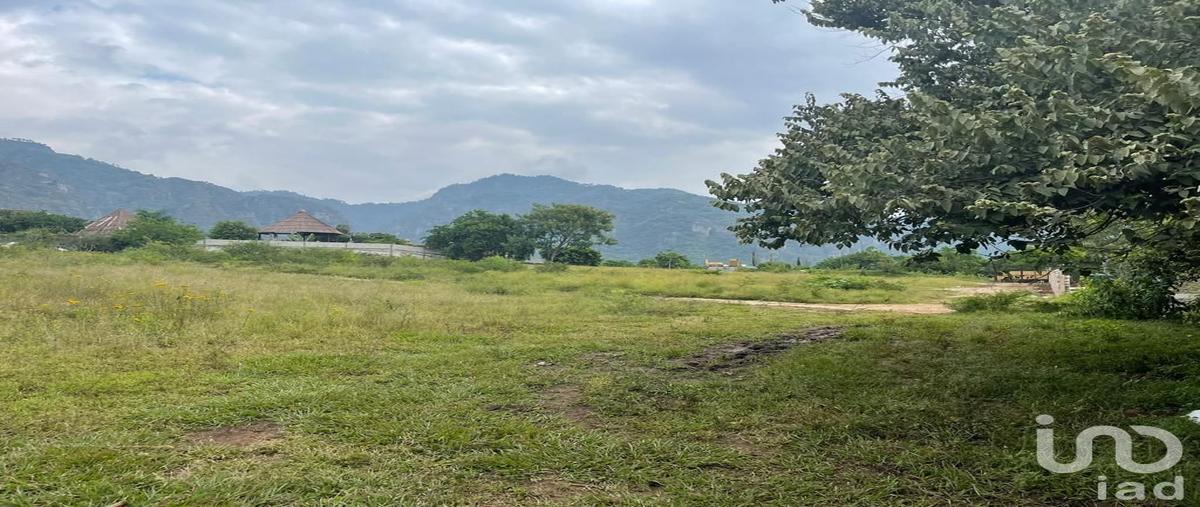 Foto de terreno habitacional en venta en sin nombre , chichco (chisco), tepoztlán, morelos, 29446620 No. 04