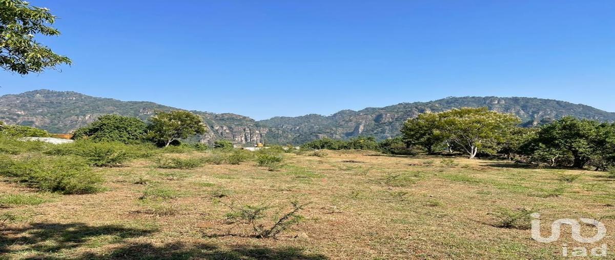 Foto de terreno habitacional en venta en sin nombre , chichco (chisco), tepoztlán, morelos, 29446620 No. 05
