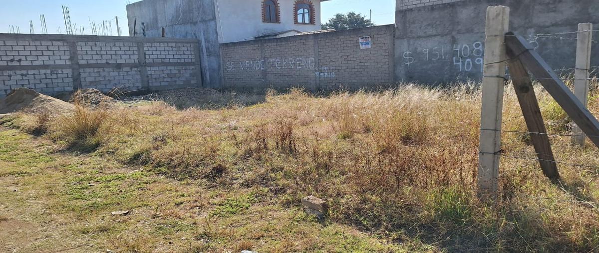 Foto de terreno habitacional en venta en sin nombre , cuilápam de guerrero centro, cuilápam de guerrero, oaxaca, 30642118 No. 03