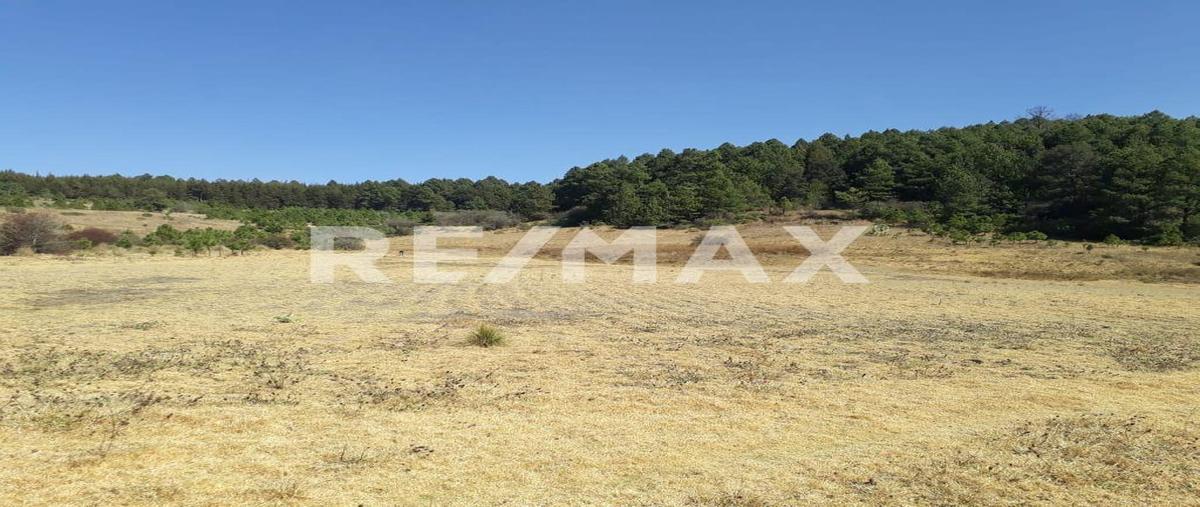 Foto de terreno habitacional en venta en sin nombre , dolores vaquerías, villa victoria, méxico, 0 No. 04