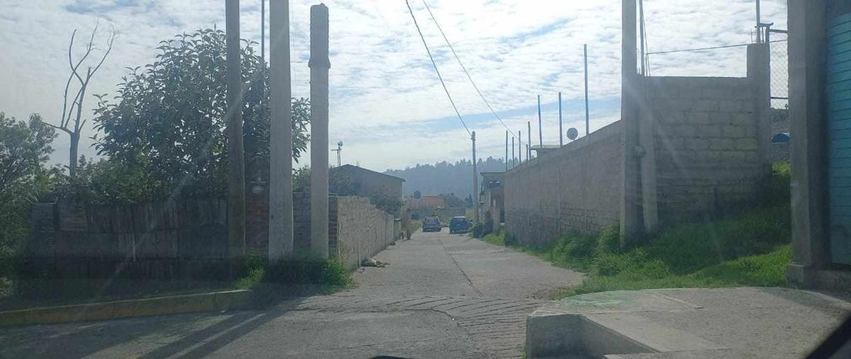 Foto de terreno habitacional en venta en sin nombre , ecológico suteym, almoloya de juárez, méxico, 0 No. 03