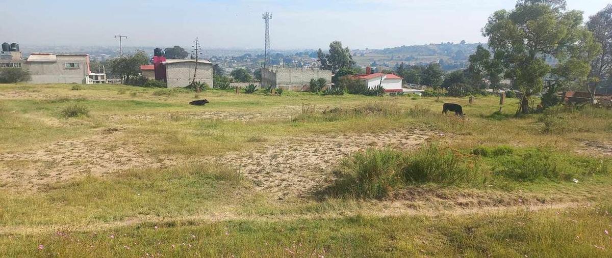 Foto de terreno habitacional en venta en sin nombre , ecológico suteym, almoloya de juárez, méxico, 0 No. 04