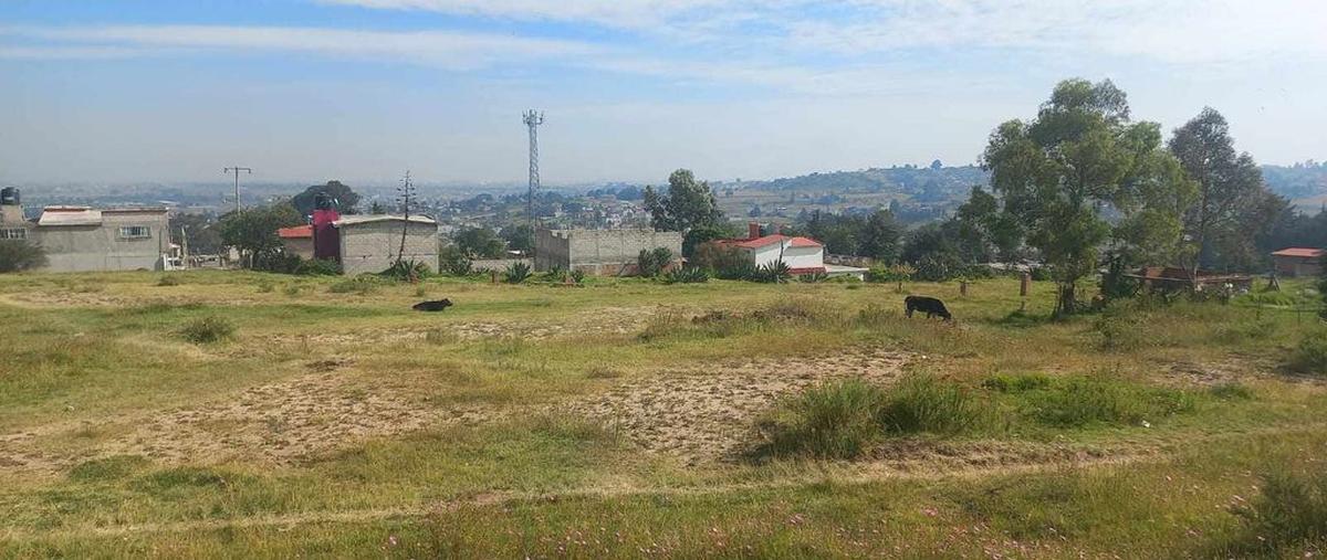 Foto de terreno habitacional en venta en sin nombre , ecológico suteym, almoloya de juárez, méxico, 0 No. 05