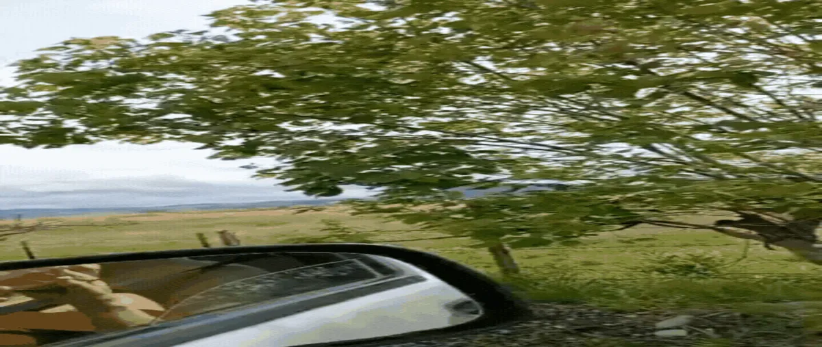 Foto de terreno habitacional en venta en sin nombre , el despoblado, zacualpan, méxico, 30006913 No. 03