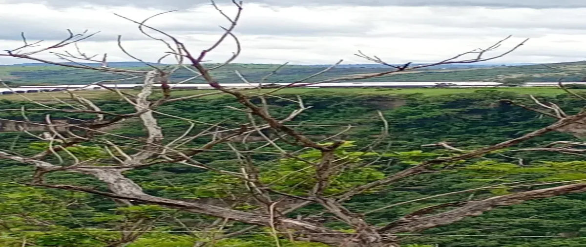 Foto de terreno habitacional en venta en sin nombre , el despoblado, zacualpan, méxico, 30006913 No. 04