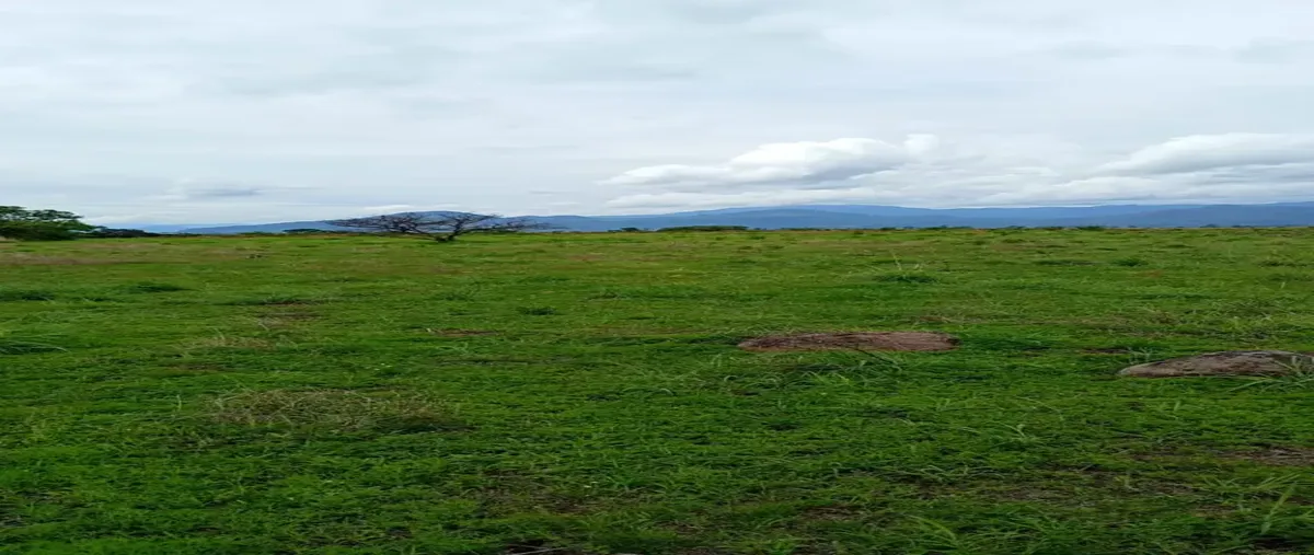 Foto de terreno habitacional en venta en sin nombre , el despoblado, zacualpan, méxico, 30006913 No. 05