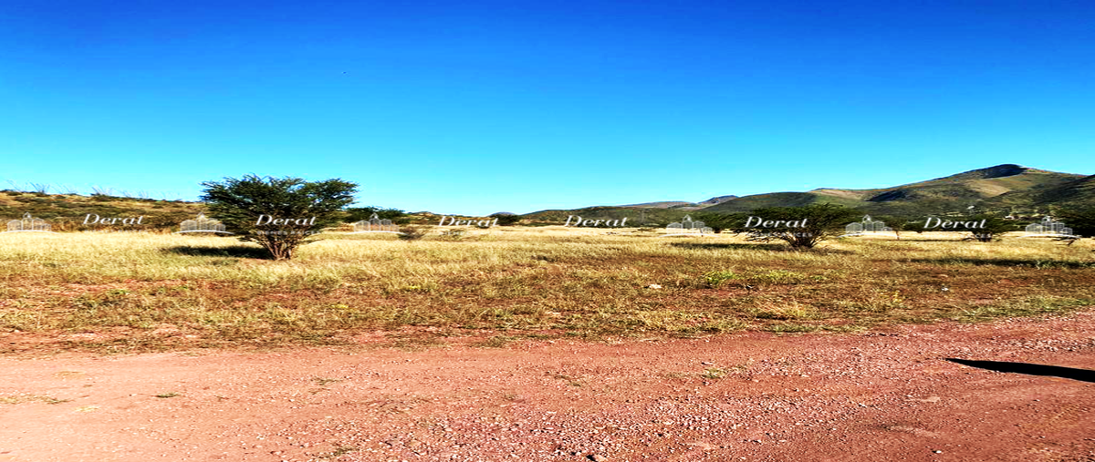 Foto de terreno habitacional en venta en sin nombre , el huerto, chihuahua, chihuahua, 0 No. 02