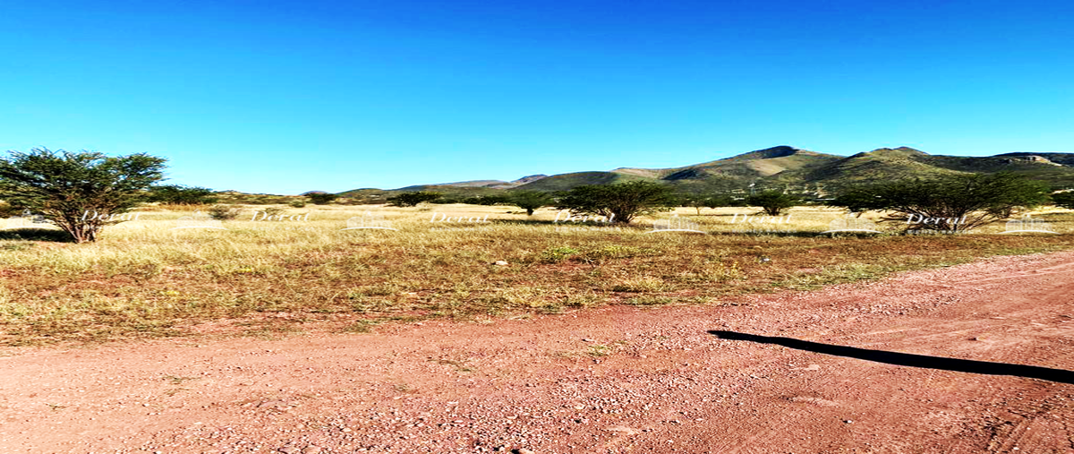 Foto de terreno habitacional en venta en sin nombre , el huerto, chihuahua, chihuahua, 0 No. 03