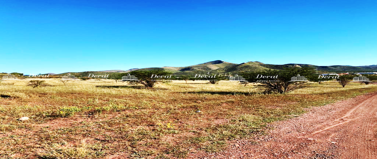 Foto de terreno habitacional en venta en sin nombre , el huerto, chihuahua, chihuahua, 0 No. 04