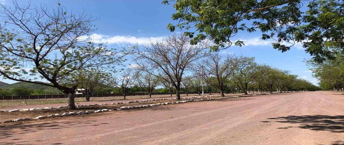 Foto de rancho en venta en sin nombre , el limón de los ramos, culiacán, sinaloa, 25251640 No. 04