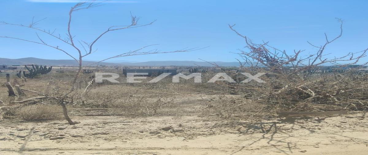 Foto de terreno habitacional en venta en sin nombre , el pescadero, la paz, baja california sur, 0 No. 03