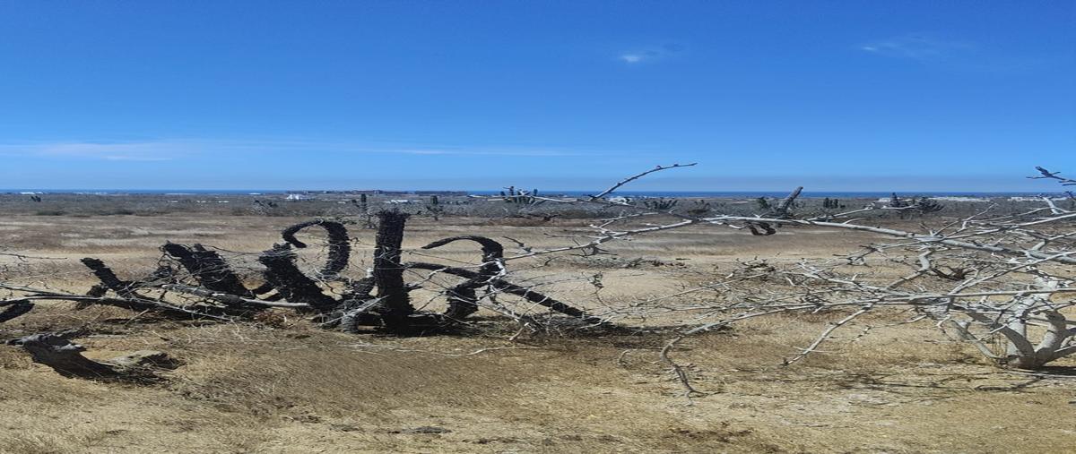 Foto de terreno habitacional en venta en sin nombre , el pescadero, la paz, baja california sur, 0 No. 04