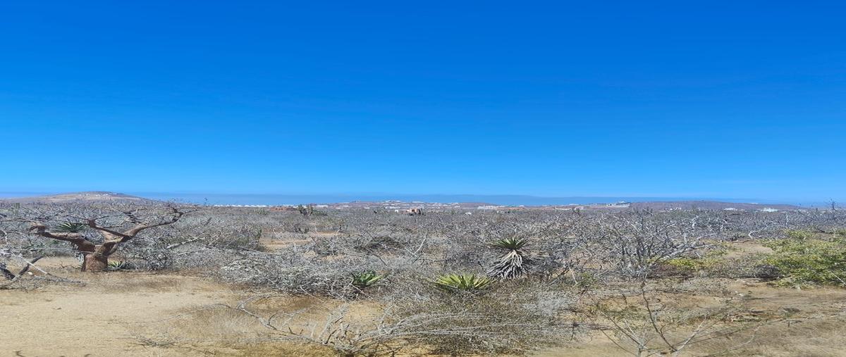 Foto de terreno habitacional en venta en sin nombre , el pescadero, la paz, baja california sur, 0 No. 05