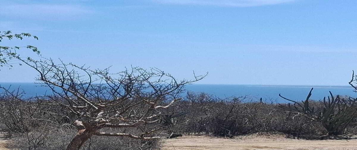 Foto de terreno habitacional en venta en sin nombre , el sargento, la paz, baja california sur, 0 No. 01