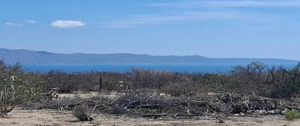 Foto de terreno habitacional en venta en sin nombre , el sargento, la paz, baja california sur, 0 No. 02
