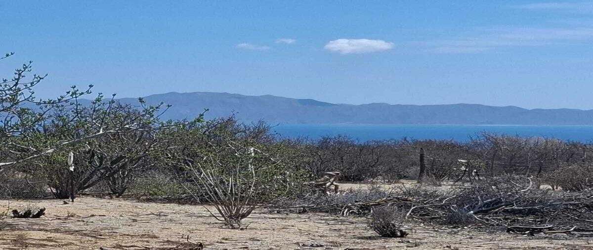 Foto de terreno habitacional en venta en sin nombre , el sargento, la paz, baja california sur, 0 No. 03