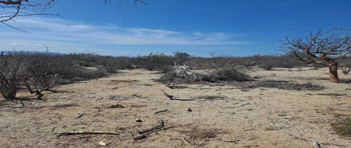 Foto de terreno habitacional en venta en sin nombre , el sargento, la paz, baja california sur, 0 No. 04