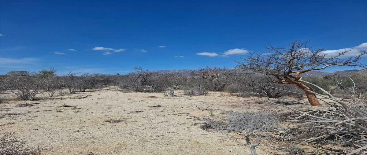 Foto de terreno habitacional en venta en sin nombre , el sargento, la paz, baja california sur, 0 No. 05
