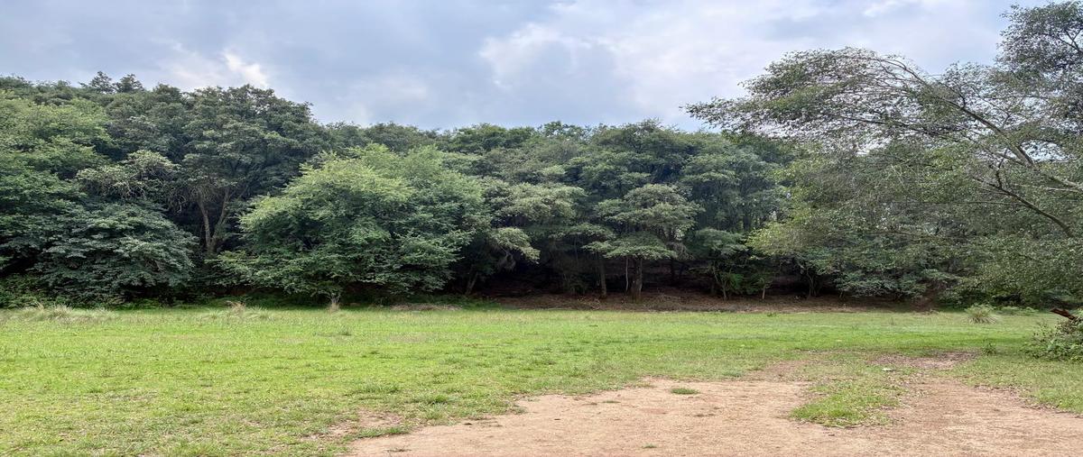 Foto de terreno habitacional en venta en sin nombre , espíritu santo, jilotzingo, méxico, 31146254 No. 06