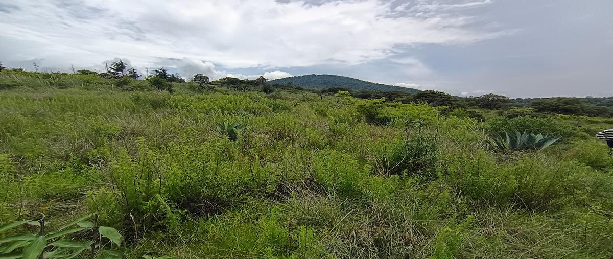 Foto de terreno habitacional en venta en sin nombre , espíritu santo, jilotzingo, méxico, 31718565 No. 03