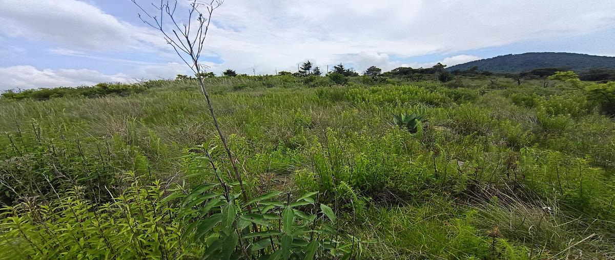 Foto de terreno habitacional en venta en sin nombre , espíritu santo, jilotzingo, méxico, 31718565 No. 04