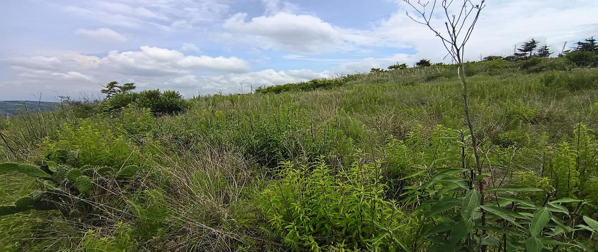 Foto de terreno habitacional en venta en sin nombre , espíritu santo, jilotzingo, méxico, 31718565 No. 05