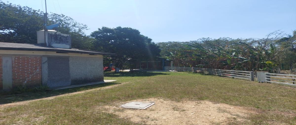 Foto de rancho en venta en sin nombre , fraccionamiento el edén, ocozocoautla de espinosa, chiapas, 29846984 No. 03