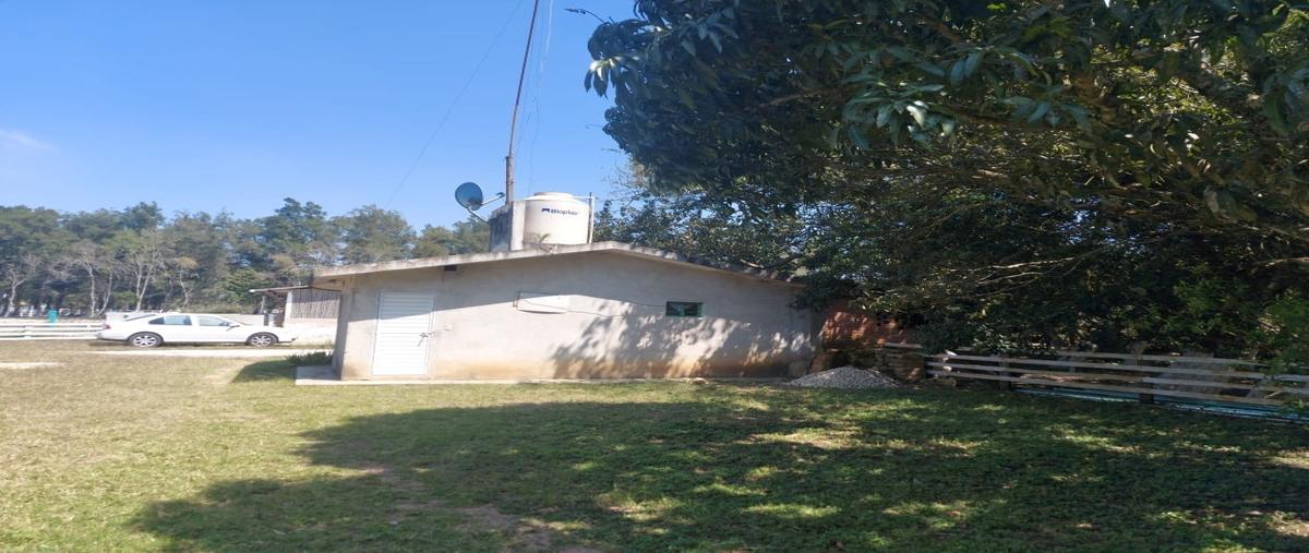 Foto de rancho en venta en sin nombre , fraccionamiento el edén, ocozocoautla de espinosa, chiapas, 29846984 No. 05