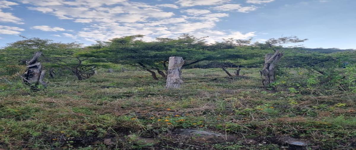 Foto de terreno habitacional en venta en sin nombre , huejotitan, jocotepec, jalisco, 0 No. 01