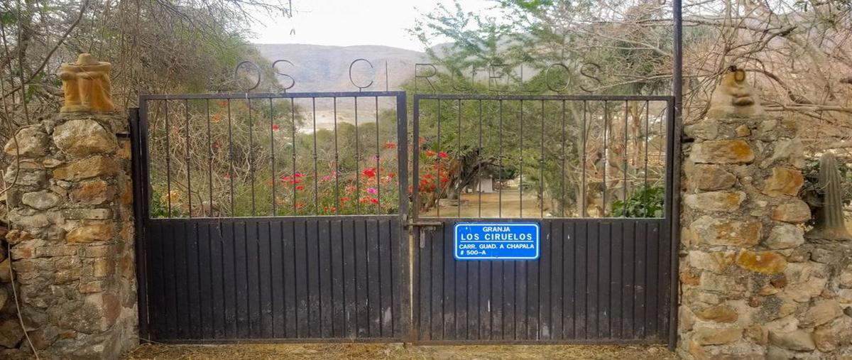 Foto de rancho en venta en sin nombre , ixtlahuacan de los membrillos, ixtlahuacán de los membrillos, jalisco, 27242746 No. 02