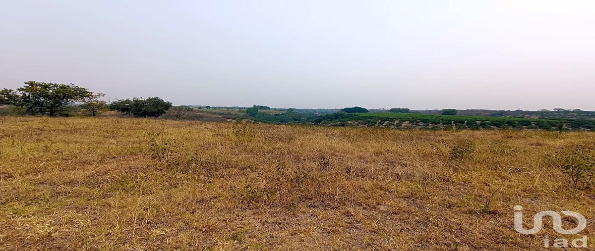Foto de terreno habitacional en venta en sin nombre , la aurora, emiliano zapata, veracruz de ignacio de la llave, 0 No. 03