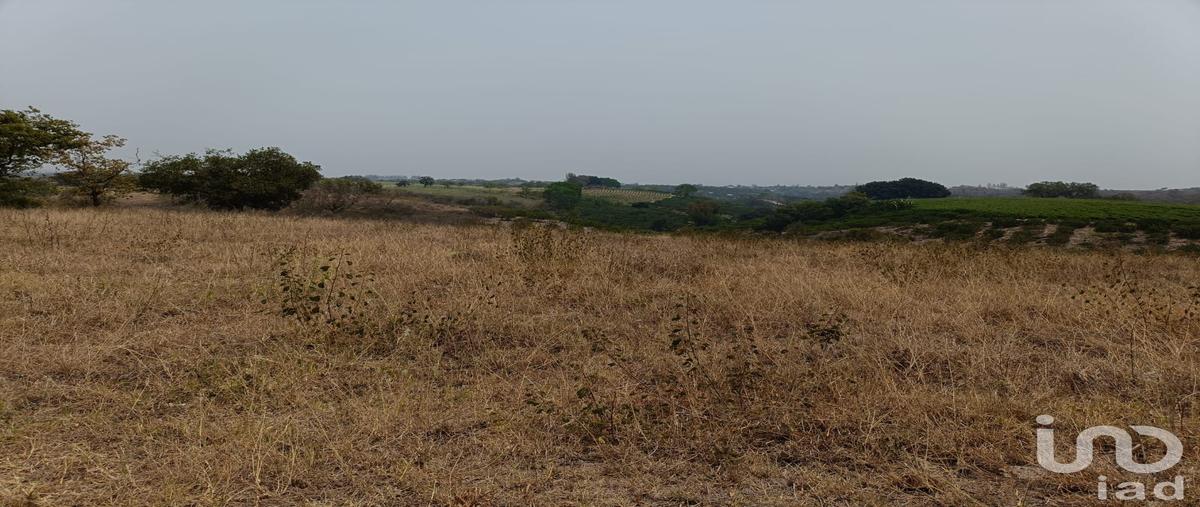 Foto de terreno habitacional en venta en sin nombre , la aurora, emiliano zapata, veracruz de ignacio de la llave, 0 No. 04